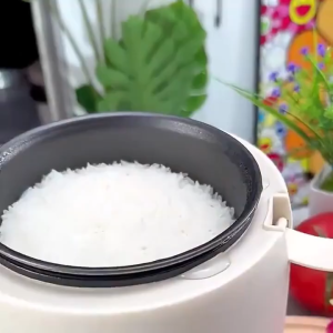 SG(Ready Stock)Chigo mini rice cooker 1.2L non-stick multi-function rice cooker steamer