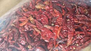 MURAH SUPER ( 5KG ) CABE RAWIT TEJA CAPLAK KERING KULITAS BAGUS MERAH PEDAS