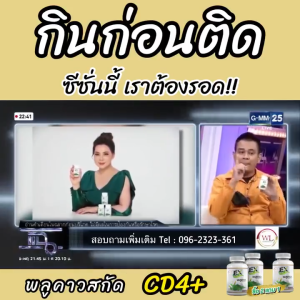 EX พลูคาว พลูคาวบุ๋มปนัดดา สมุนไพรพลูคาว เบต้ากลูแคน เสริม ภูมิคุ้มกัน ต้าน อนุมูลอิสระ ลด การอักเสบ ไอ ผื่น คัน ภูมิแพ้ บรรจุ 30 เม็ด รับประกันของแท้ 100%