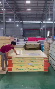 NỆM CAO SU NON THẮNG LỢI 10PHAN - NHIỀU KÍCH THƯỚC