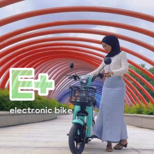 ★LEM★new electric bike/electric bicycle/electric scooter model lem-e (e-bikes) 2 seat