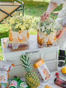 RoomTour Camping Picnic Daisy Basket Decorative Fake Flower Simulation Flower Display Country Style Desktop Decoration Silk Flower