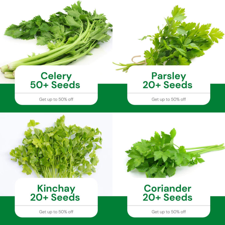 All in 4 in 1 pack seeds for planting outdoor garden celery parsley