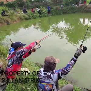 Essen Nila Sultan Strike cocok untuk semua umpan jagoan empang