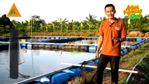 Jaring Ikan Lebar 120 Cm Kwalitas Super Harga Per Meter