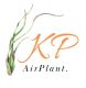 KP Airplant 