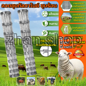 รั้วถักปม/รั้วตาข่ายแรงดึง 15cm 4x6" (50เมตร) ลวดตาข่ายถักปม ลวดเหล็กล้อมรั้ว รั้วล้อมไร่สวน รั้วล้อมคอกสัตว์ วัว แพะ
