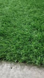 Karpet Rumput Sintetis Swiss Tebal 3cm Ukuran Kecil Rumput Hijau Artificial Dekorasi Taman Import Murah Berkualitas Premium Rumput Tanaman Indoor Outdoor