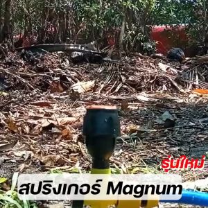 สปริงเกอร์รดน้ำต้นไม้ สปริงเกอร์ระยะไกล รัศมีไกล 10 เมตร สปริงเกอร์ 4 หุน สปริงเกอร์สนาม สปริงเกอร์ 360 องศา