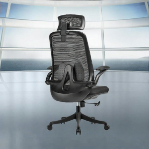 Ergonomic Multifunctional Office Chair
