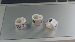 20252024 European Pigeon Ring Belgian Racing Pigeon Foot Ring Pigeon Electronic Foot Ring Identification Ring Pigeon Gear Tag Ring