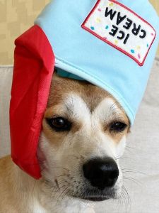 Dog Pet Toy Cute Ice Cream Candy Bucket Glowing Ball Hidden Food Dog Sound Interactive Educational Toy Luminous Barking Toy