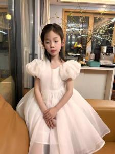 Girl Birthday Dress Pink Princess Style Long Sleeve Ins Fashion