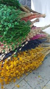 Rarin ดอกไผ่ห้วยลึก ดอกไผ่ (สีธรรมชาติ) ดอกไม้เมืองหนาว สำหรับตกแต่บ้าน ร้าน งานแต่ง หรือ เป็นพร๊อพถ่ายรูปเก๋ๆ Diy มีของพร้อมส่งค่ะ