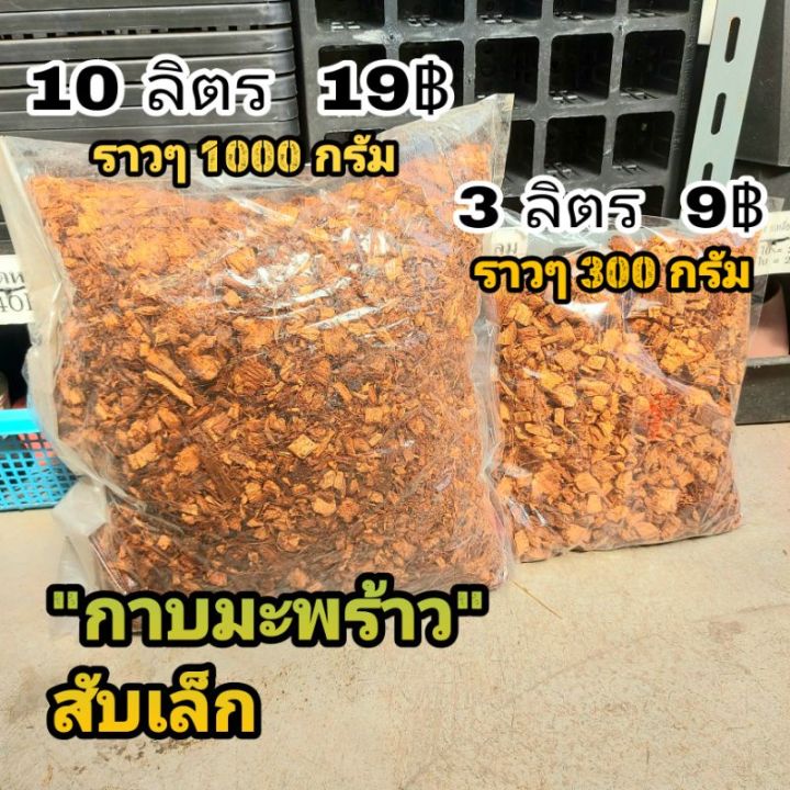 10 อันดับกาบมะพร้าวสับยอดนิยมสำหรับปลูกต้นไม้และแคคตัส อัปเดตปี 2026