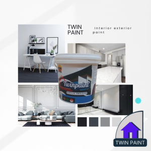 cat tembok Twin paint 20 kg