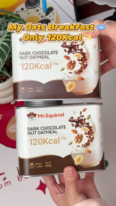 Mr.Squirrel Yogurt Oatmeal Mixed Nuts Dark Chocolate Flavors Instant Health oatmeal 500g