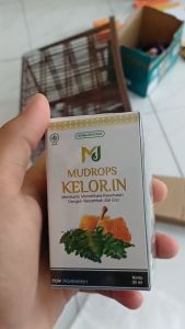 Mudrops Jamu Daun Kelor Asi Booster Pelancar ASI Herbal 30 ML