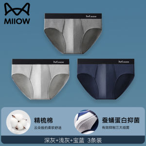MiiOW Mens Triangle Underwear Mens Summer Pure Cotton Antibacterial Shorts Boys Plus Size Breathable Sweat Absorbing Triangle Shorts Shorts