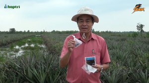 STORM DIỆT CHUỘT GÓI 1KG