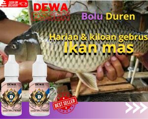 Essen umpan pancing ikan mas target indukan /bolu durian