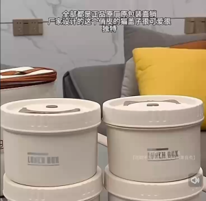 304 Stainless Steel Insulated Lunch Box Set 2 in 1 with Lunch Bag Microwave Safe Leak Proof Bento Box
