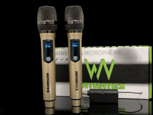 RAYHAYES Wireless Microphone for Karaoke Rechargeable Dynamic Dual Mic with Reciever for Karaoke