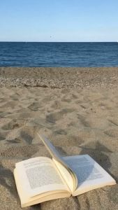 The Alpha Girls Guide by Henry Manampiring