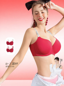 TANGLI | Large Size Bust Minimizing Bra Set
