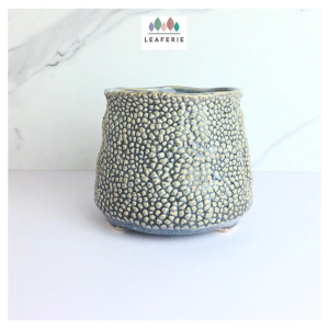 The Leaferie Nubo plant pots. flowerpot . flowerpots . flower pot . planter planters Ceramic Plants