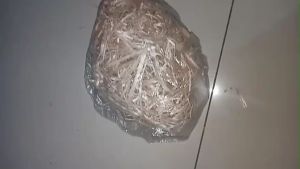SUSUH BURUNG KAYU / SERUTAN KAYU UNTUK SUSUH BURUNG
