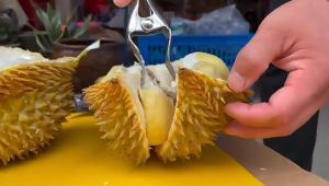 Durian Openers Durian Clips Buka Durian Tools 榴莲开口器 加厚不锈钢 掰开榴莲夹子 剥榴莲神器 钳子剥榴莲刀开榴莲工具