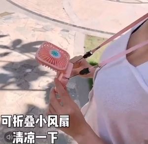 Halts Halter Folding HTF Stand Fan with Light/Rechargeable Pockts