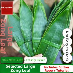DOUQUCHI | Large Natural Bamboo Leaves For Making Zongzi