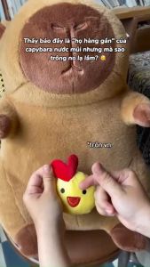 Gấu Bông Chuột Capybara - Chuột Lang Nước Bộ Trưởng Bộ Ngoại Giao Hottrend Cao Cấp Gấu Bông City