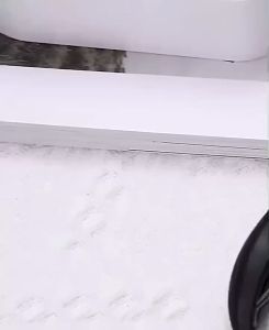 Gunting kuku Jempol Kaki Anti cantengan anti nyeri stainless