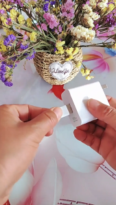 BONITAAA: 66W Rapid Charge Type-C / MICRO USB Plug and Multi-Watt Charging Cord Combo