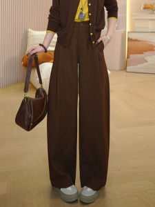 High Waist Wide Leg Pants Womens Casual Floor Length Loose Slimming Pants Spring Autumn New Style Versatile Straight Cut Trousers