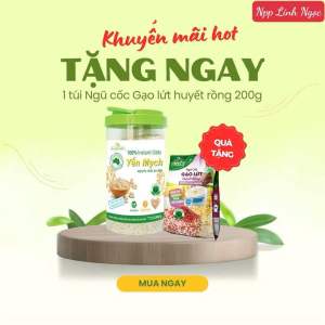 Combo 2 hũ Yến mạch nguyên chất ăn liền Xuân An hũ 800g ( tặng 2 túi ngũ cốc gạo lứt huyết rồng 200g )