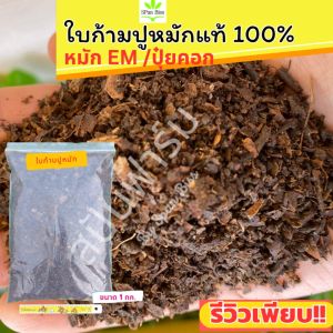 ใบก้ามปู ปุ๋ยใบก้ามปู ใบก้ามปูหมัก ใบก้ามปูล้วนบด ใบก้ามปูแท้หมักปุ๋ยอินทรีย์ ปุ๋ยหมัก ใบก้ามปูล้วนๆ อนุบาลต้นไม้ ฟื้นตัวเร็ว แข็งแรง ราหมัก ใบก้ามปู อนุบาลต้นไม้ ฟื้้นตัวเร็ว แข็งแรง รากมาเต็ม ดินใบก้ามปู ดินปลูกผัก ดินใ