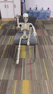 Bingkai Kerangka / Model Kerangka Manusia Torso / Human Skeleton Tengkorak Mini