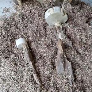 Dăm trầm vụn nguyên chất Không pha trộn sử dụng trong thờ cúng xông đốt xua đuổi tà khí hàng có sẳn