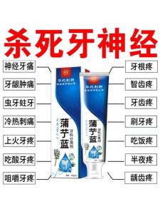 Tooth Pain Relief Toothpaste Gum Protection Bleeding Stopper Dental Care Fluoride Free Sensitive Toothache Relief Gel