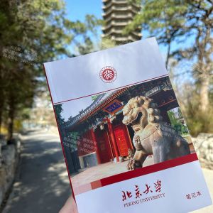 Peking University West Gate Scene Notebook Cultural Creative Memorial Soft Cover Wire-O Binding Paper Products Business Supplies