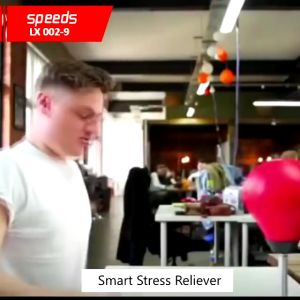 SPEEDS Mini Samsak Bag Tinju Mini Ball Speeds Desktop Punching Bag 002-9