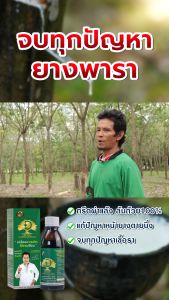 DOSE Co2  โดสซีโอทู ซื้อ2 แถม1 ขวด หัวเชื้อสูตรเข้มข้นสำหรับทาหน้ายาง เปิดตัวนวัตกรรมใหม่  โดส Co2 ซีโอทู สารเสริมพืชยางพารา สำหรับทาหน้ายางโดยเฉพาะ ไม่ใช่ยาเร่ง ยาป้าย  สกัดจากสมุนไพรล้วน 100%