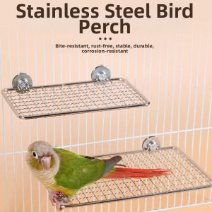 Resting and Feeding Platform for Parrots and Sugar Gliders