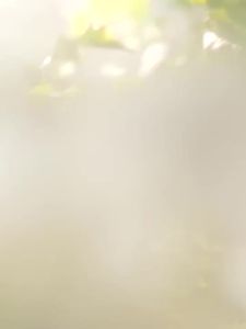 PULJIM宝玑米身体冷霜 PULJIM Body Cold Cream Art Version Body Lotion Body Lotion Gift  Same Fragrance 艺术版身体乳润肤乳礼盒同香 20250101