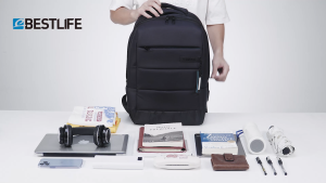 BestLife 31L C-Plus 20 Backpack | Fit for 15.6" Laptop | Water Repellent Fabric | USB and Type C connectors for Charging