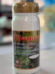 ยังพญาจอบเปลือกนิ่มกรีดง่ายต้นไม่โทรม